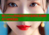 糖心vlog到底是软件还是网址全面解析与使用指南
