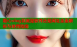 糖心vlog到底是软件还是网址全面解析与使用指南