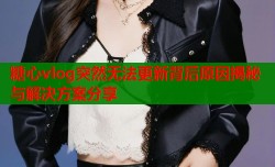 糖心vlog突然无法更新背后原因揭秘与解决方案分享