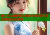 糖心vlog闺蜜到访2精彩分享记录生活点滴轻松互动体验