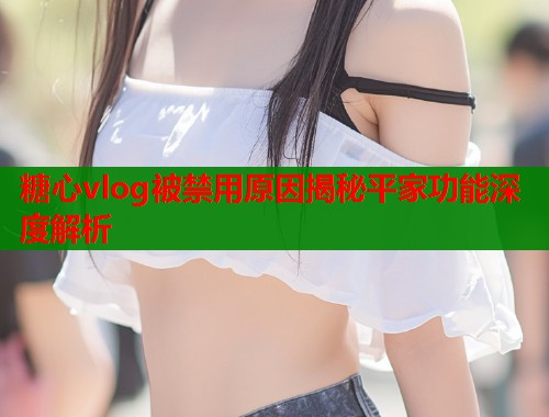 糖心vlog被禁用原因揭秘平家功能深度解析  第1张